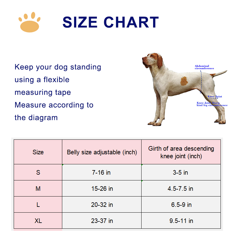 Dog Hip Brace For Hind Leg