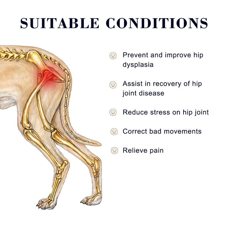 Dog Hip Brace For Hind Leg