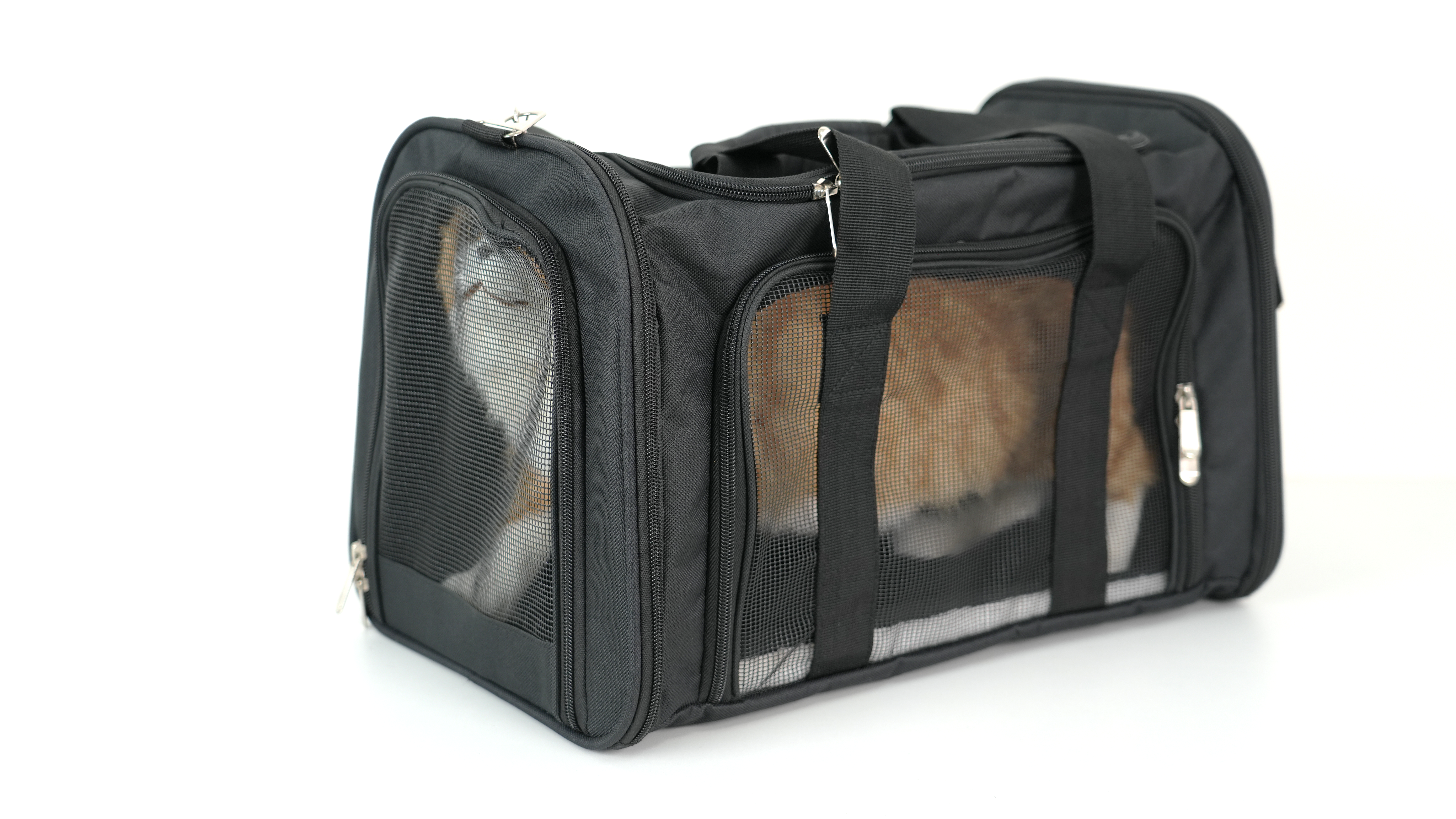 Spacious and Durable Black Foldable Pet Carrier