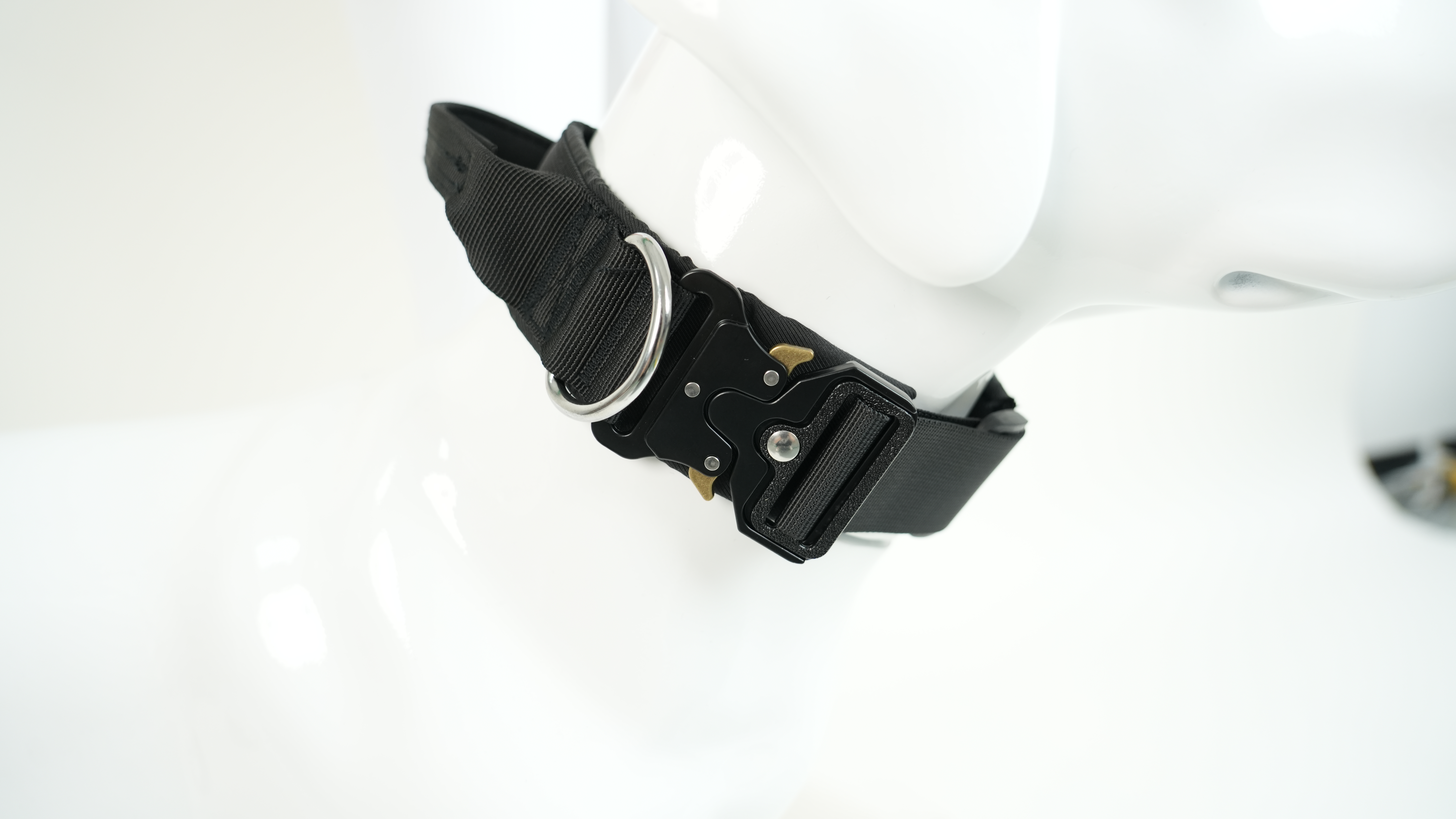 Dog Collar Usage Guide