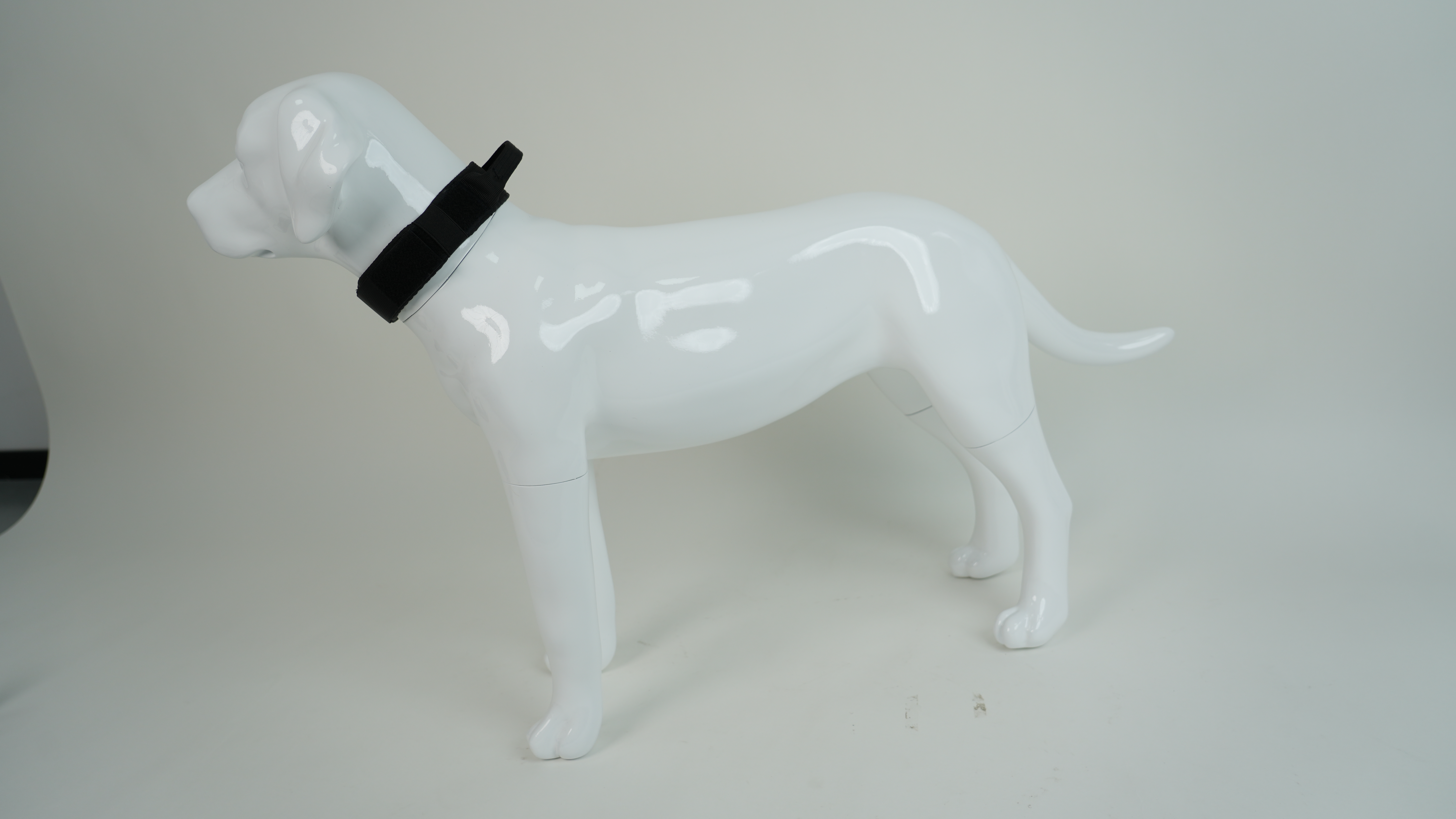 Durable Black Dog Collar with Adjustable Fit for Everyday Use