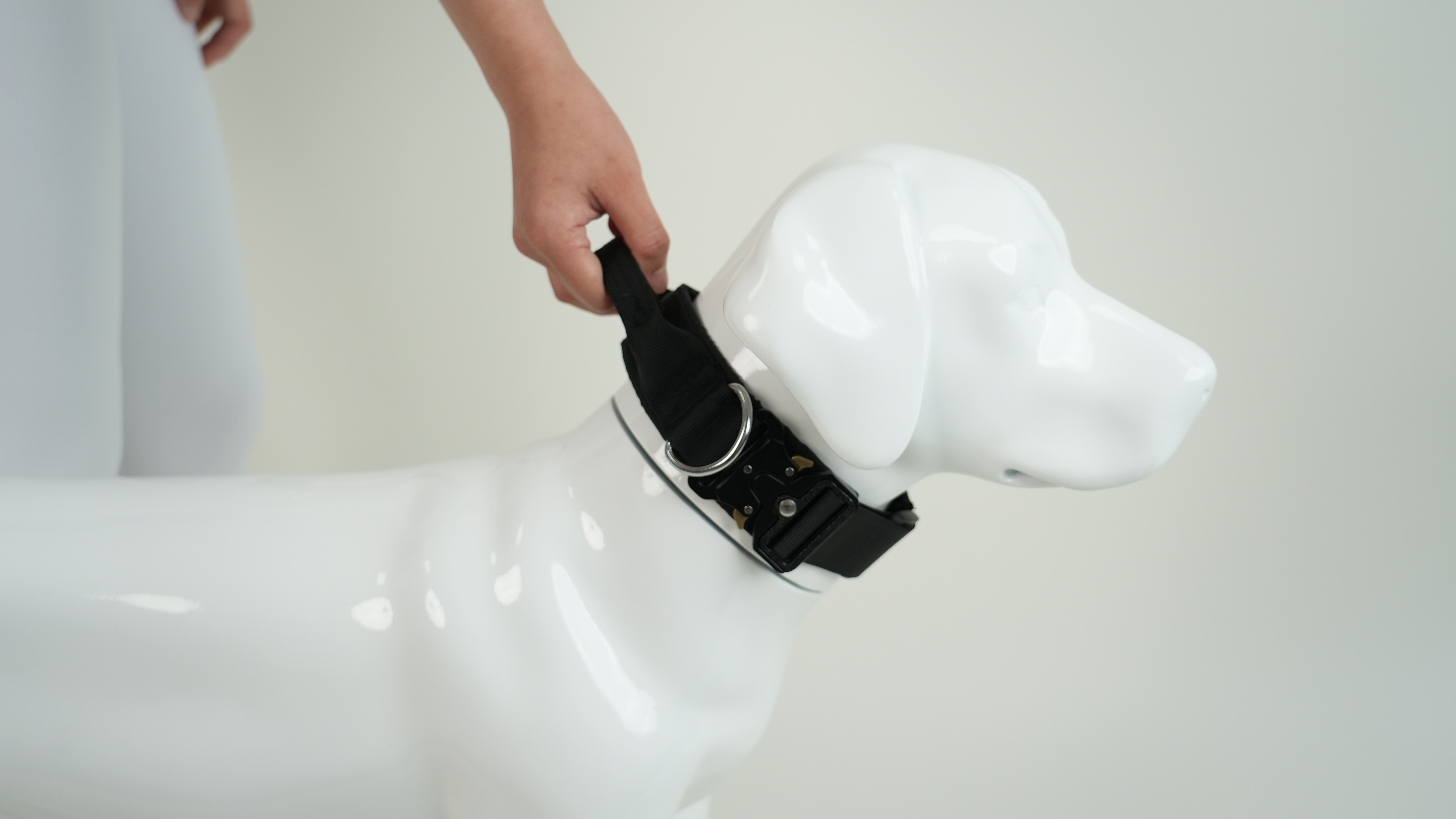 Durable Black Dog Collar with Adjustable Fit for Everyday Use