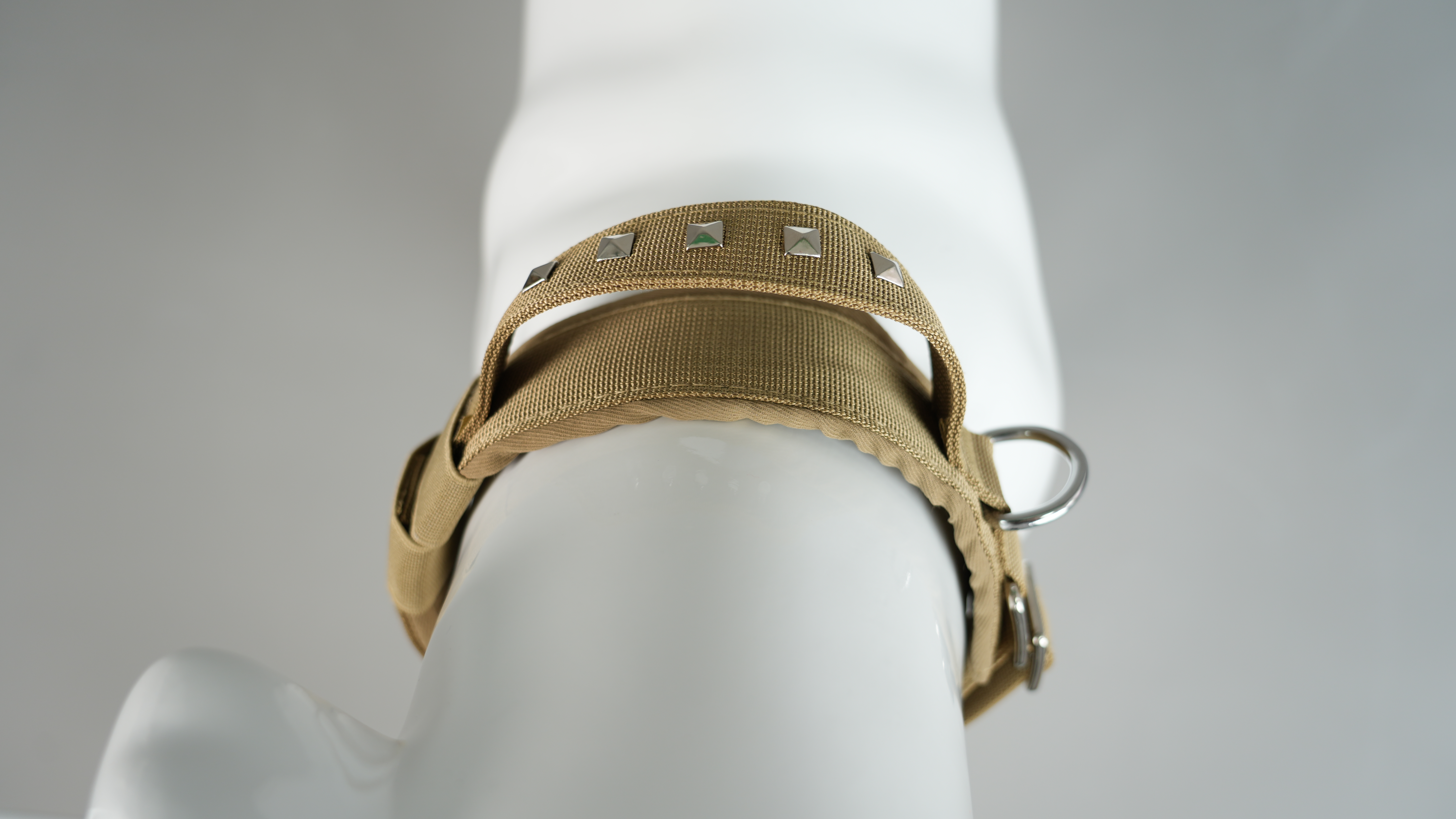 Yellow Dog Collar Product Description