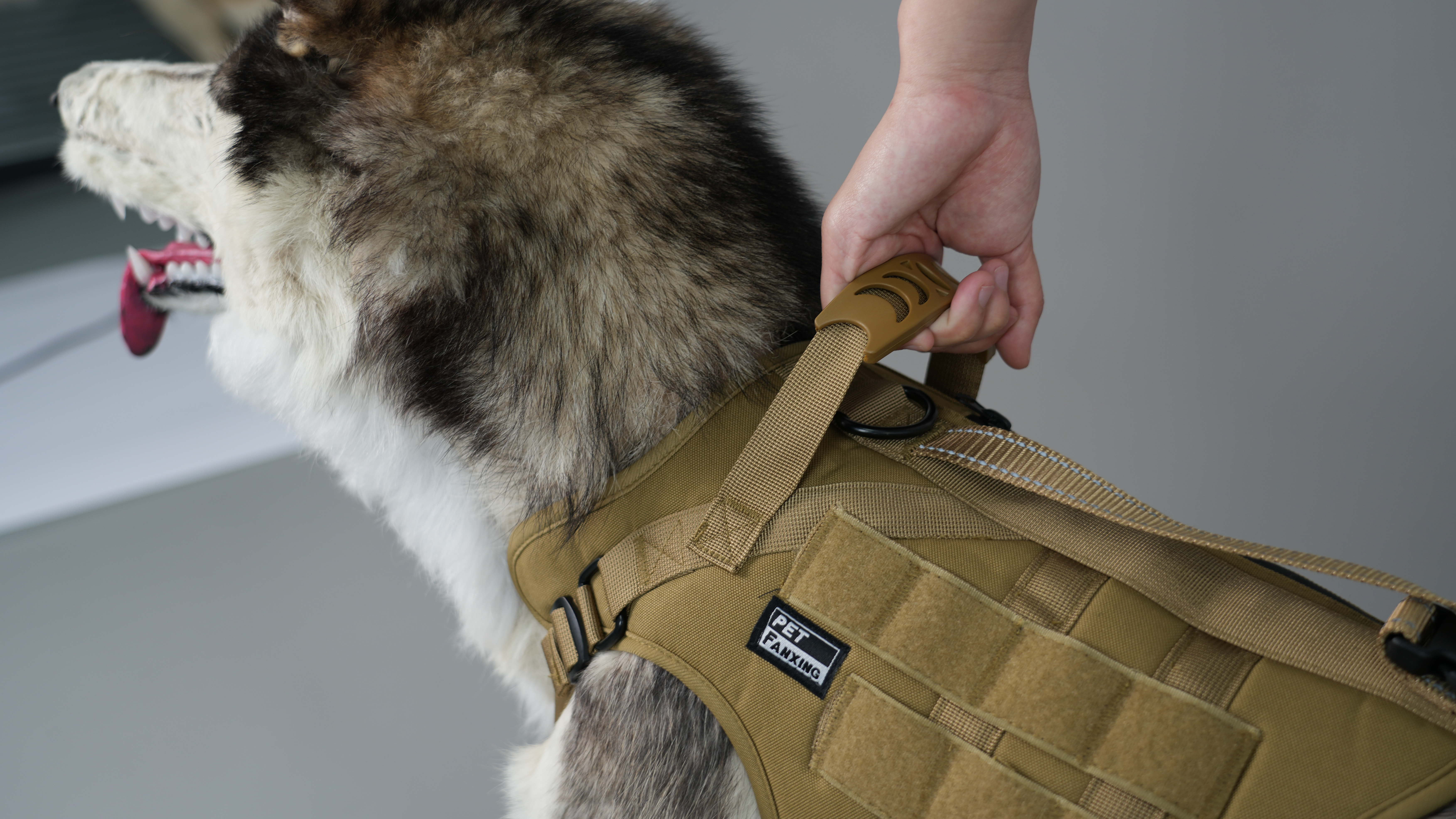 Heavy-Duty Tactical Style Dog Leash Designed for Daily Control and Outdoor Safety