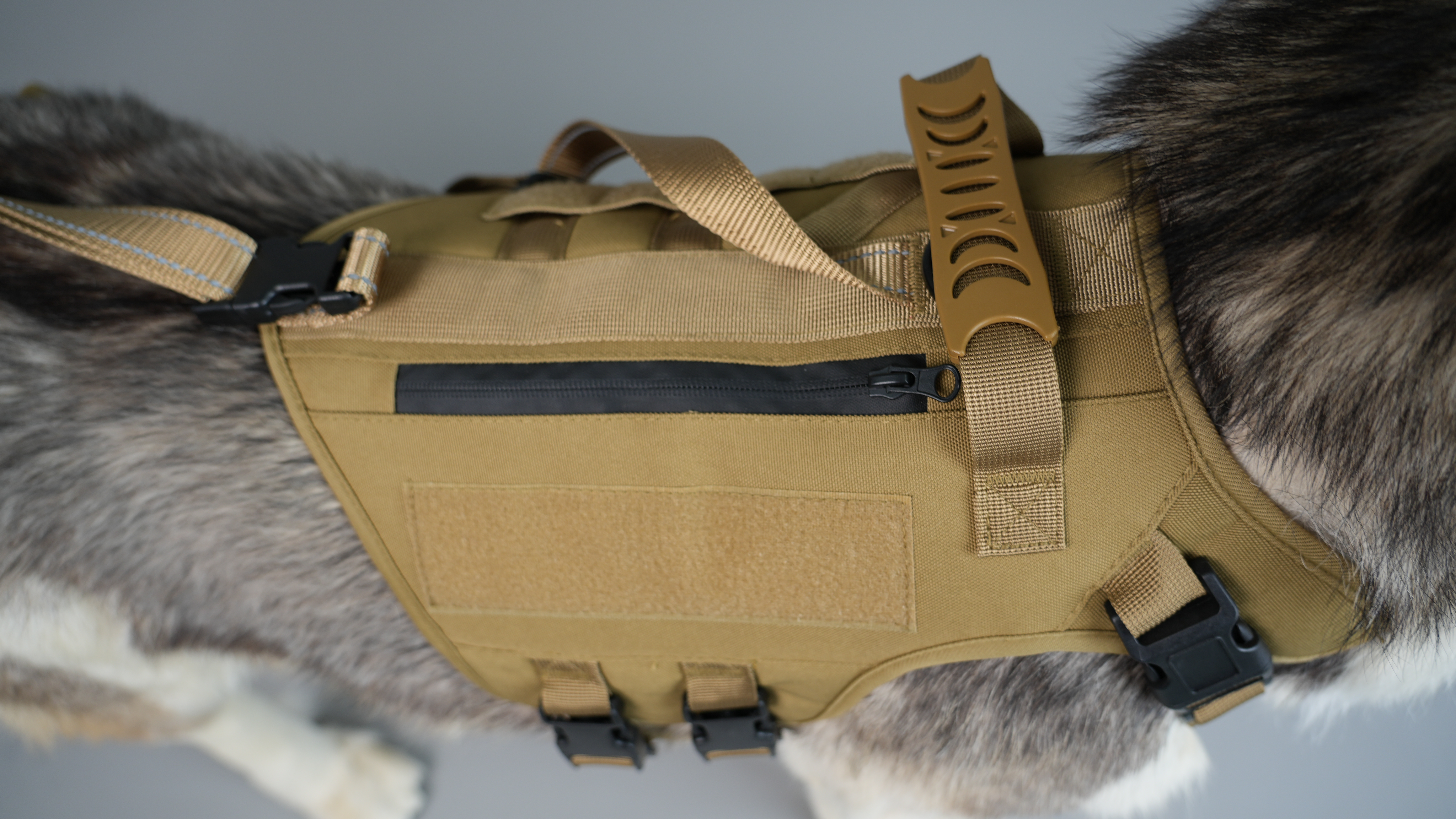 Heavy-Duty Tactical Style Dog Leash Designed for Daily Control and Outdoor Safety