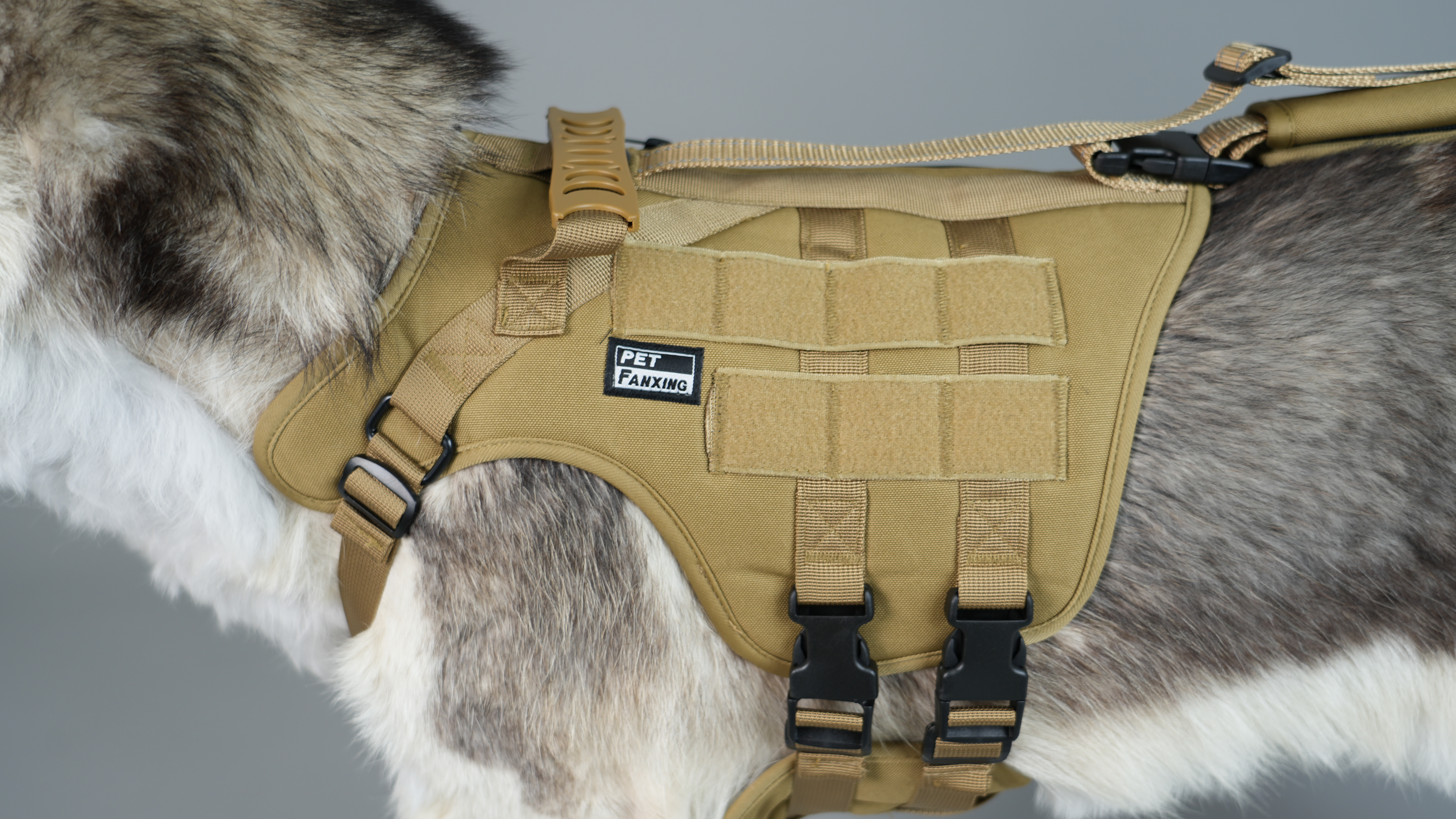 Heavy-Duty Tactical Style Dog Leash Designed for Daily Control and Outdoor Safety