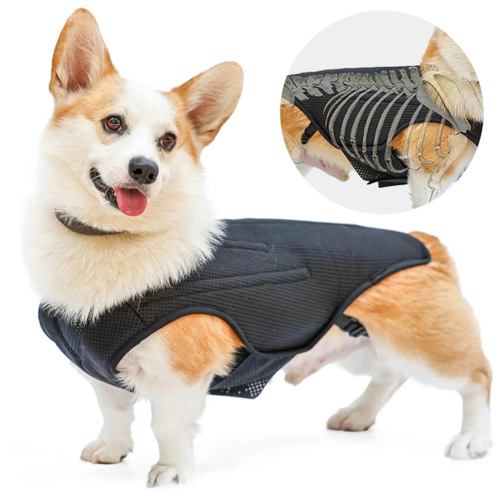 IVDD Canine Back Brace for Dogs – Breathable Dog Back Support Harness for Daily Recovery