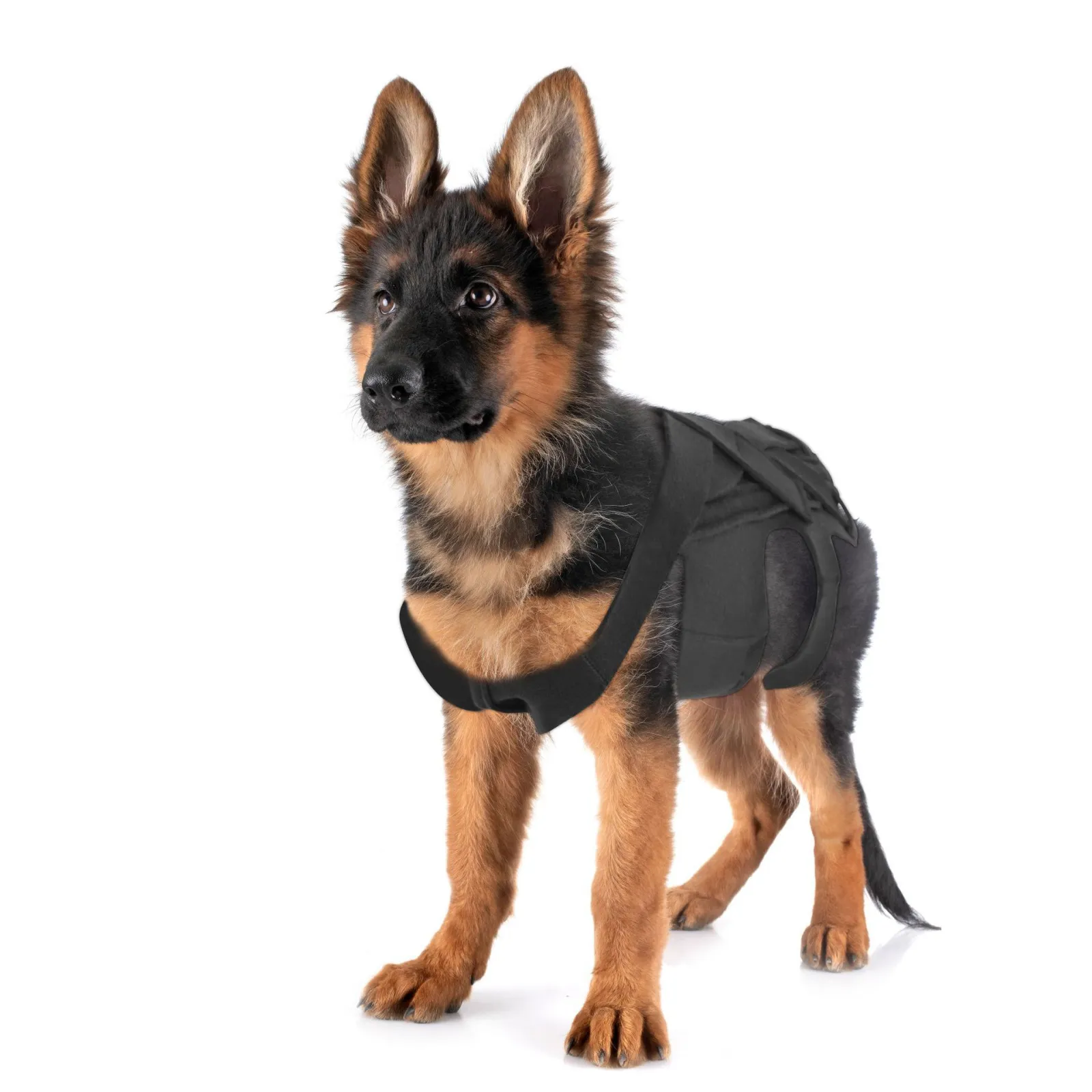 IVDD Dog Back Support Harness for Daily Stability