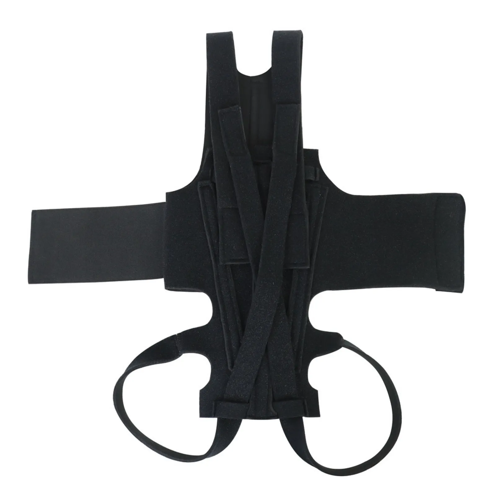 IVDD Dog Back Support Harness for Daily Stability