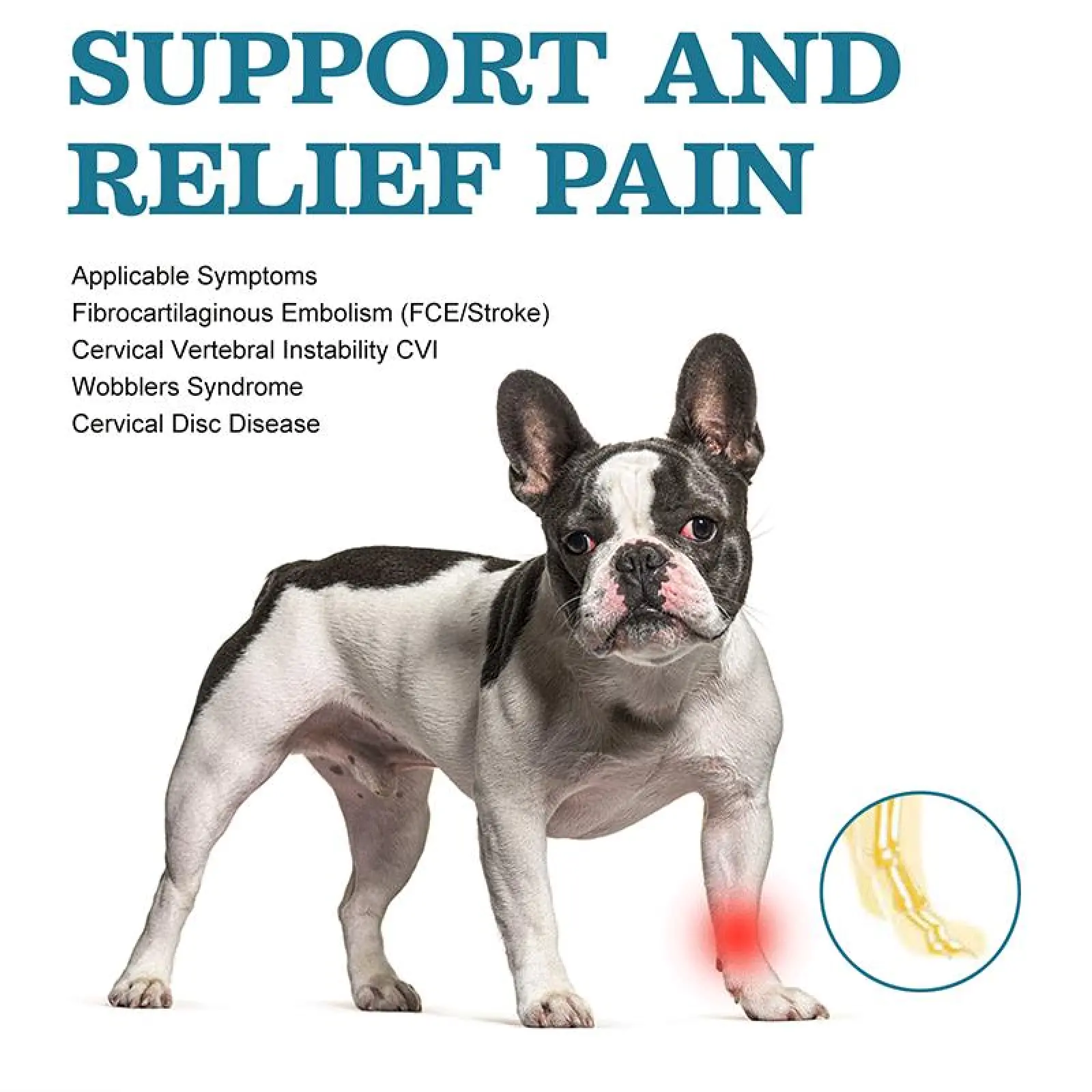 Canine Carpal Brace for Everyday Wrist Support