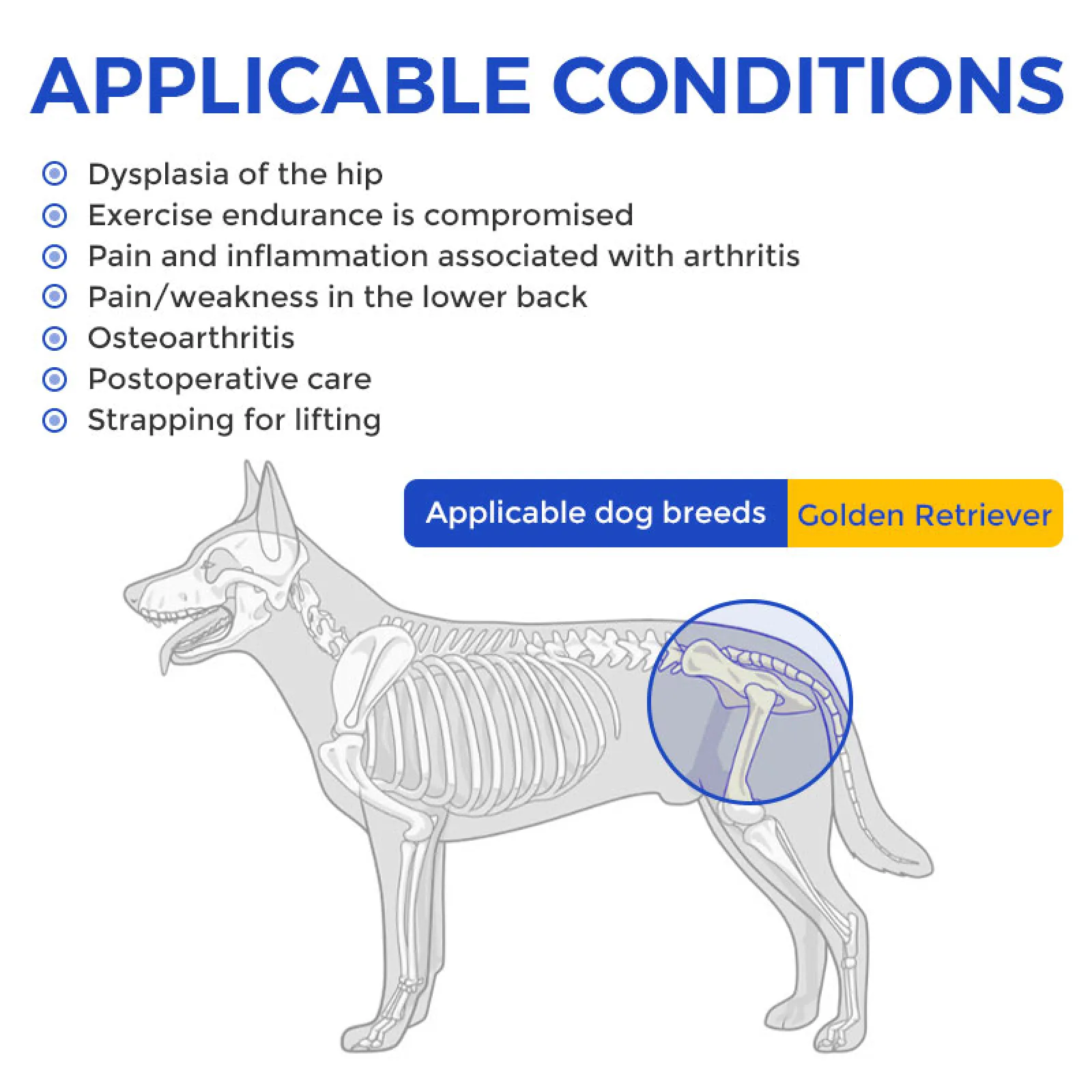 Dog Hip Brace Support Harness for Daily Mobility and Recovery