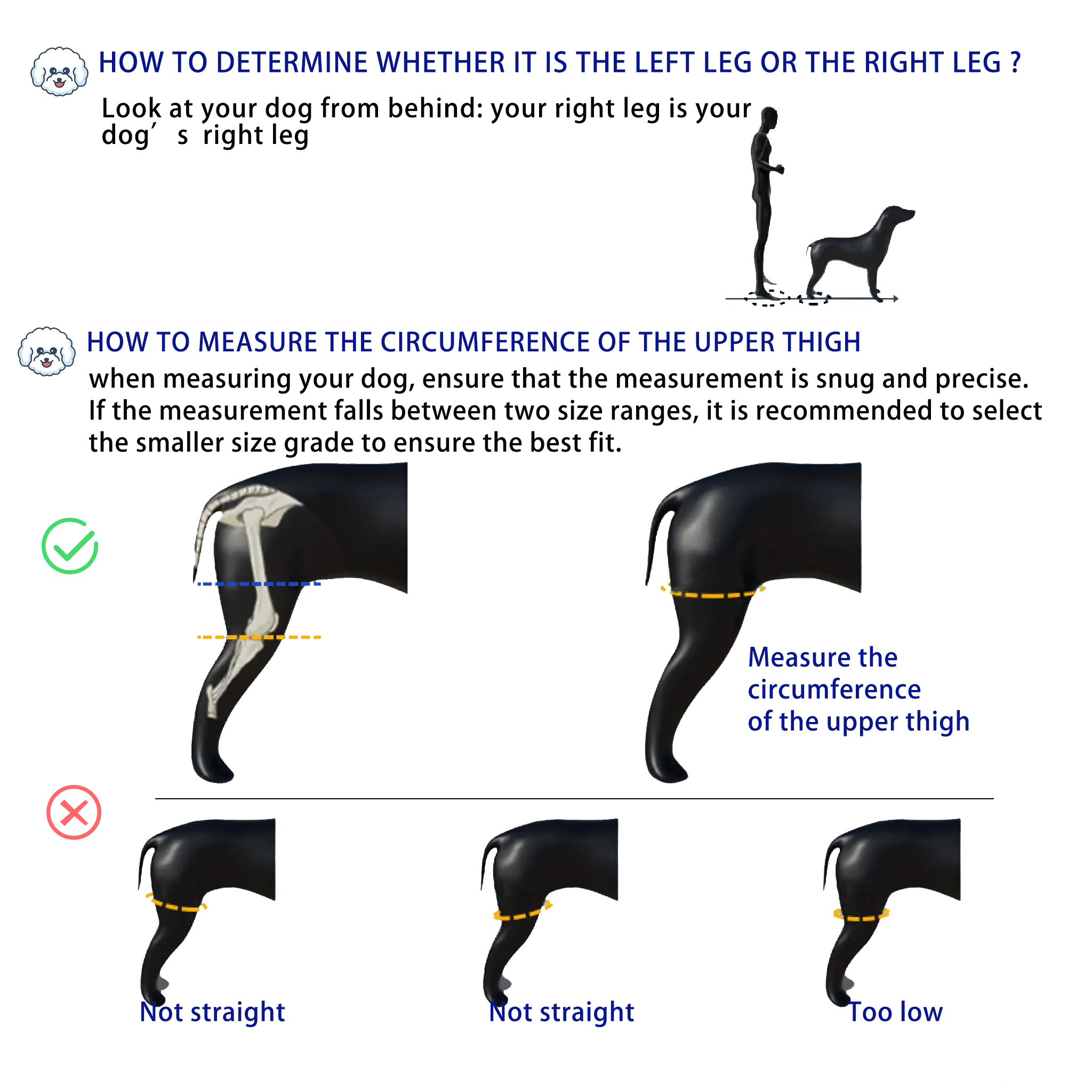 Dog knee support wrap