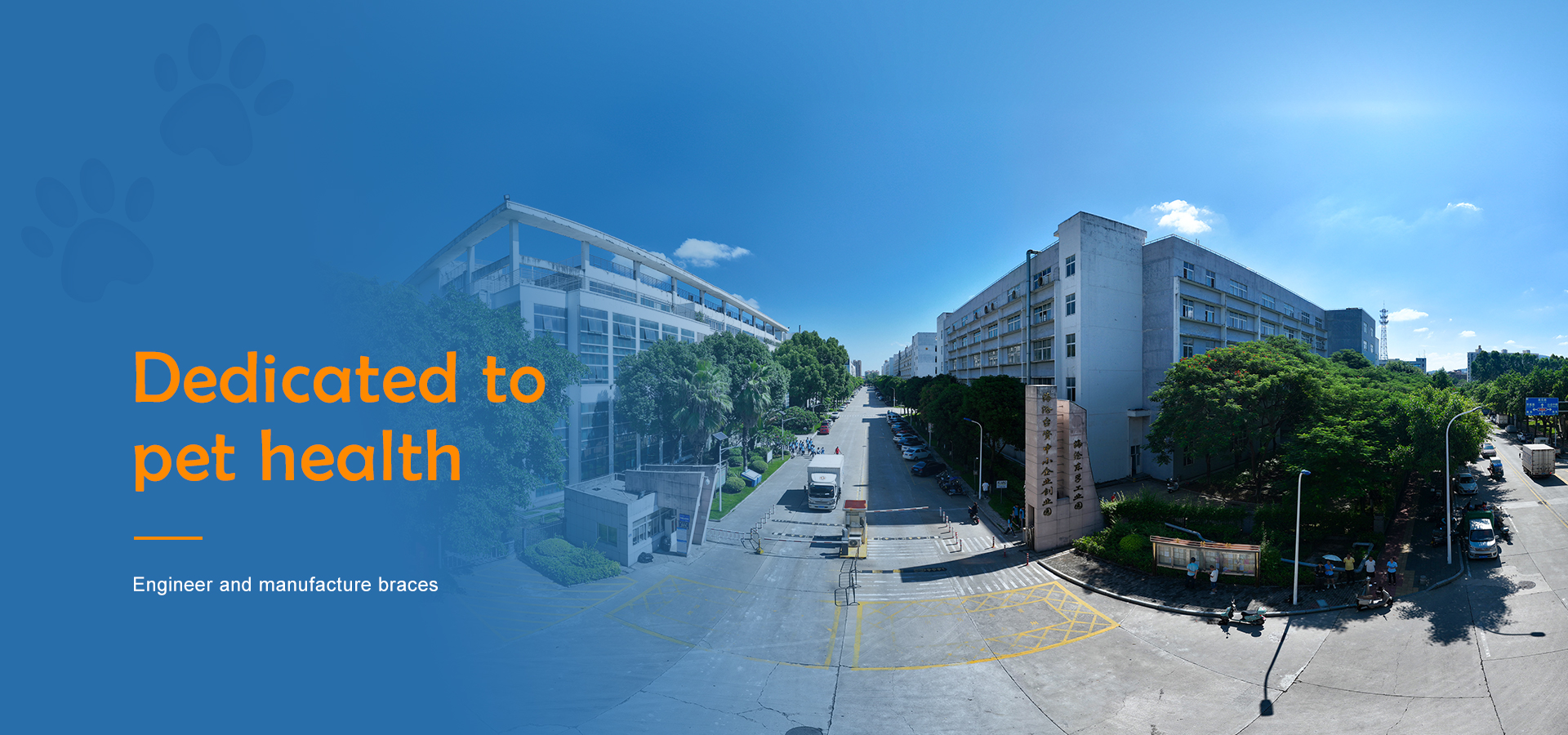 carpal hyperextension dog brace