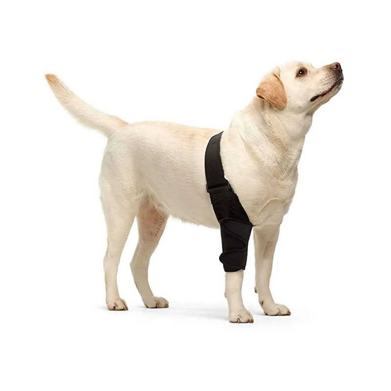 Dog Hinged Double Elbow Shoulder Brace