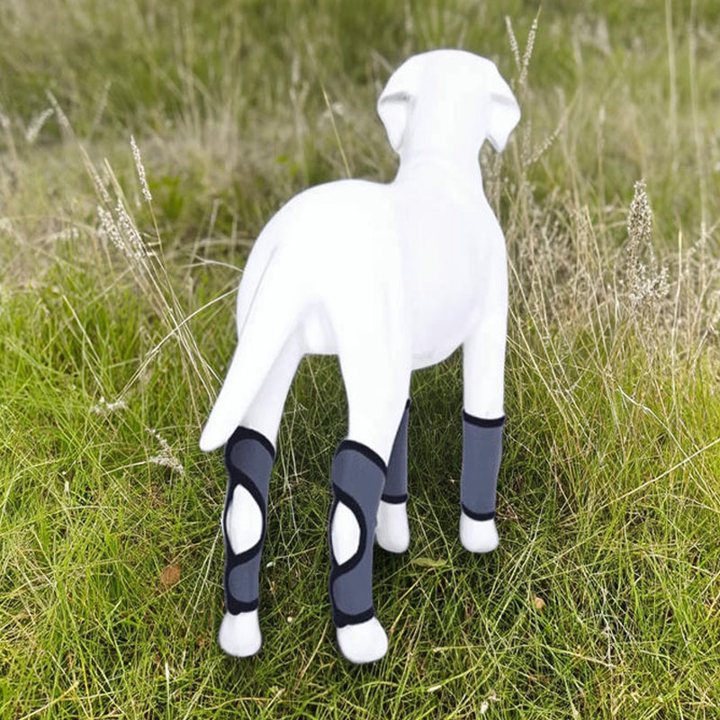 Dog Rear Hock Brace