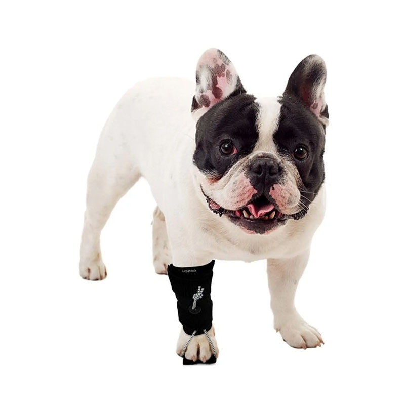 Canine Carpal Brace for Everyday Wrist Support