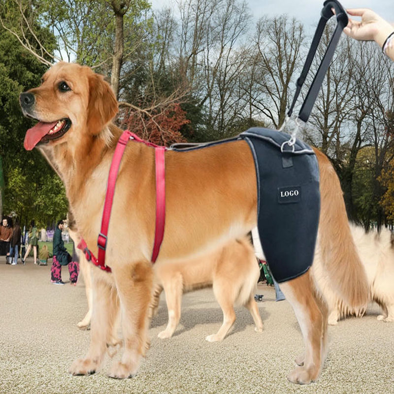 Dog Support Brace For Hip And Knee With Arthritis