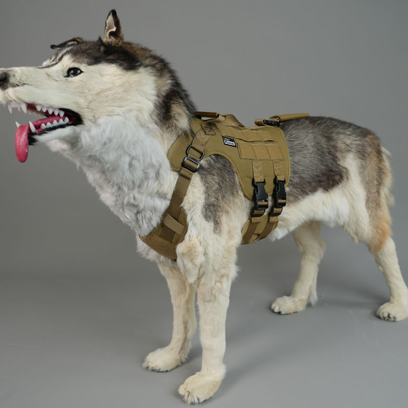 Heavy-Duty Tactical Style Dog Leash Designed for Daily Control and Outdoor Safety