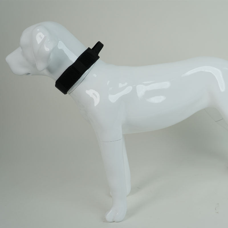 Durable Black Dog Collar with Adjustable Fit for Everyday Use