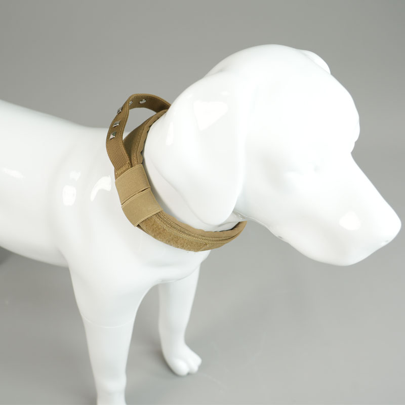 Yellow Dog Collar Product Description