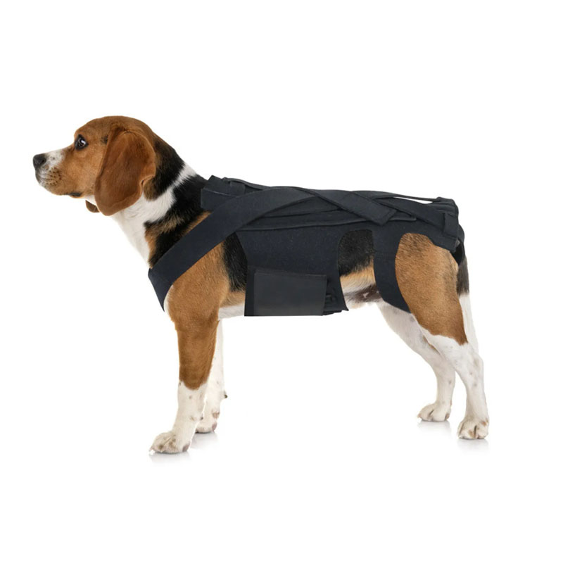IVDD Dog Back Support Harness for Daily Stability