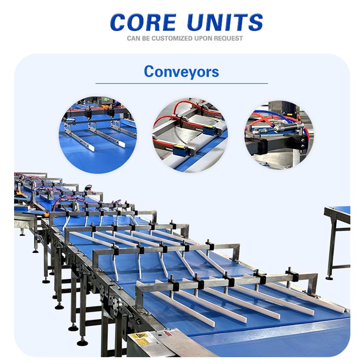 High Speed Cookies Packaging Machine