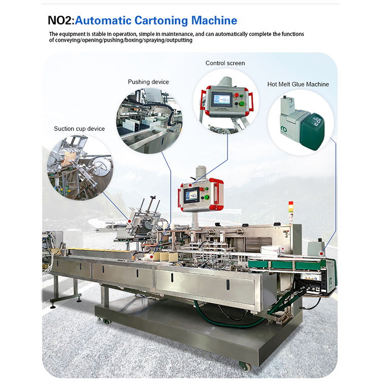 Tea Bag Packaing Machine