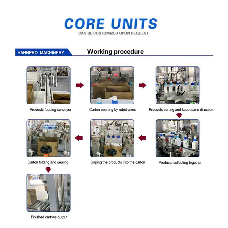 Advanced Robotic Case Erector