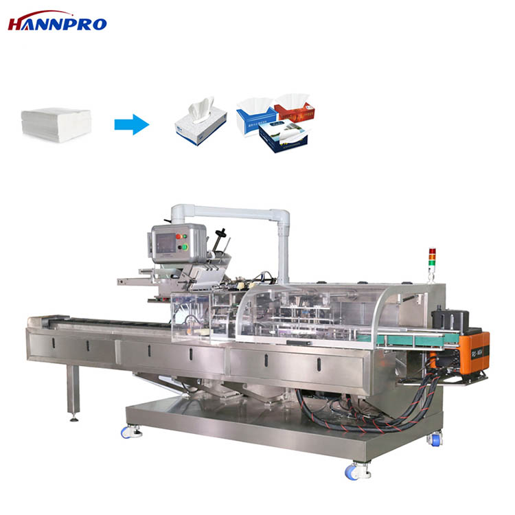 Integrated Case Packing System Integrated Case Packing System