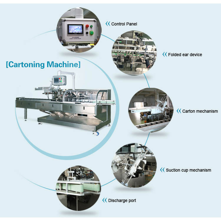 Integrated Case Packing System