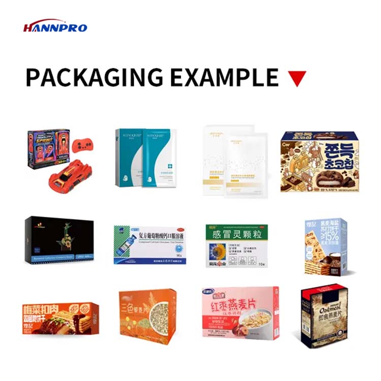 Integrated Case Packing System