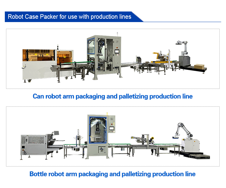 Robot Case Packer