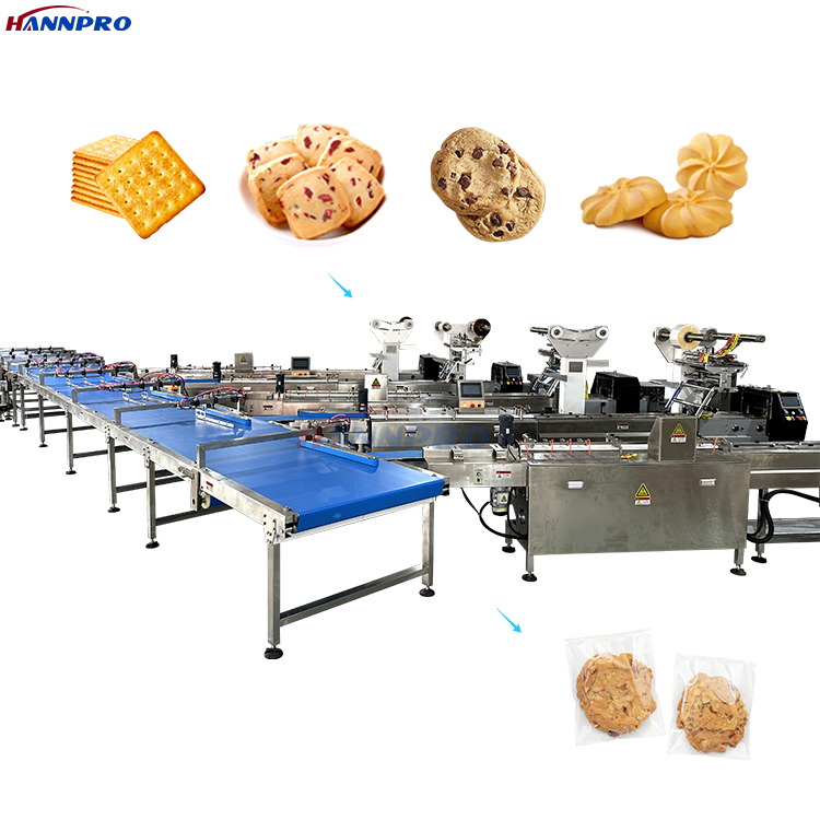 What maintenance schedule extends the service life of robotic palletizer packaging lines?