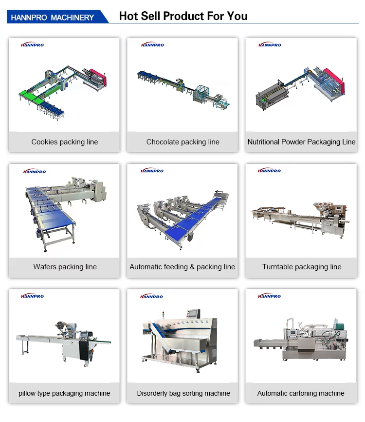 robotic palletizer packaging lines