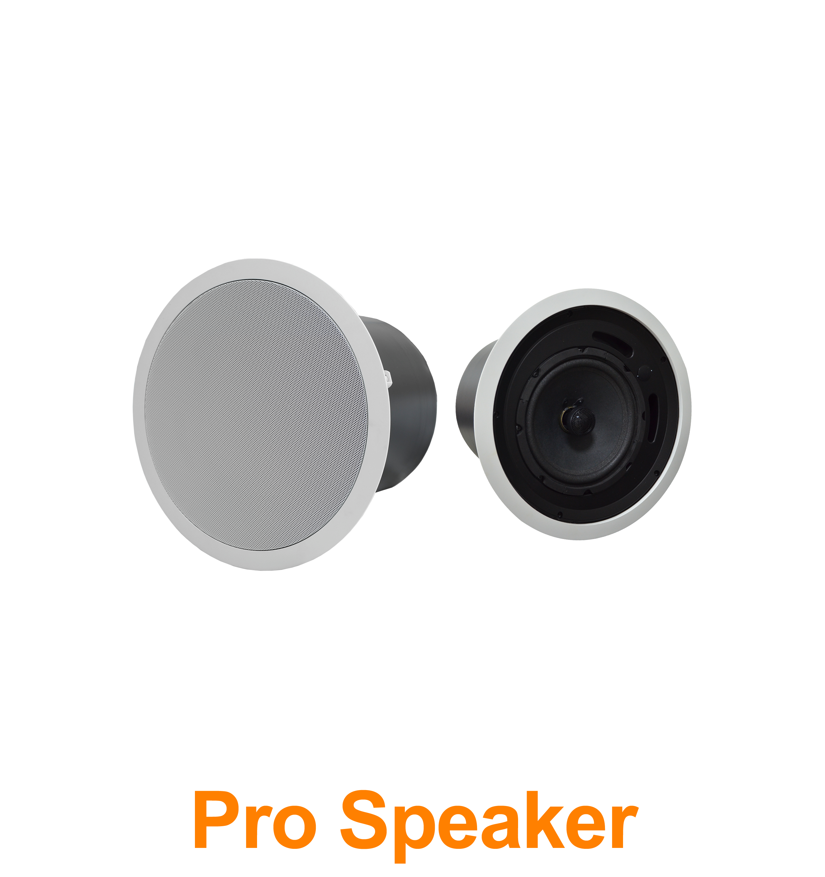 Professional Conference Speaker