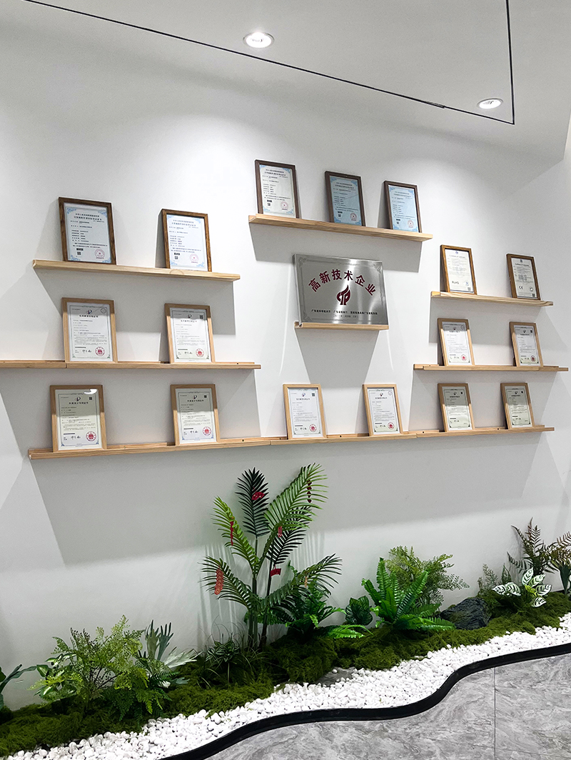 Core Intellectual Property