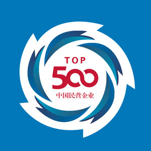 Top 500