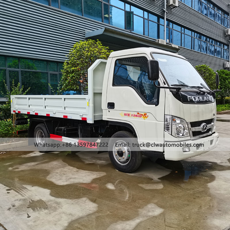 DONGFNEG 4*2 4*4 Cargo Truck