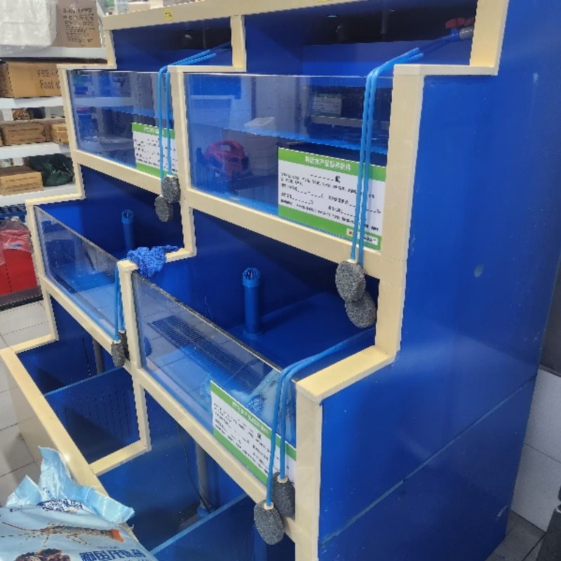 blue fish tank board