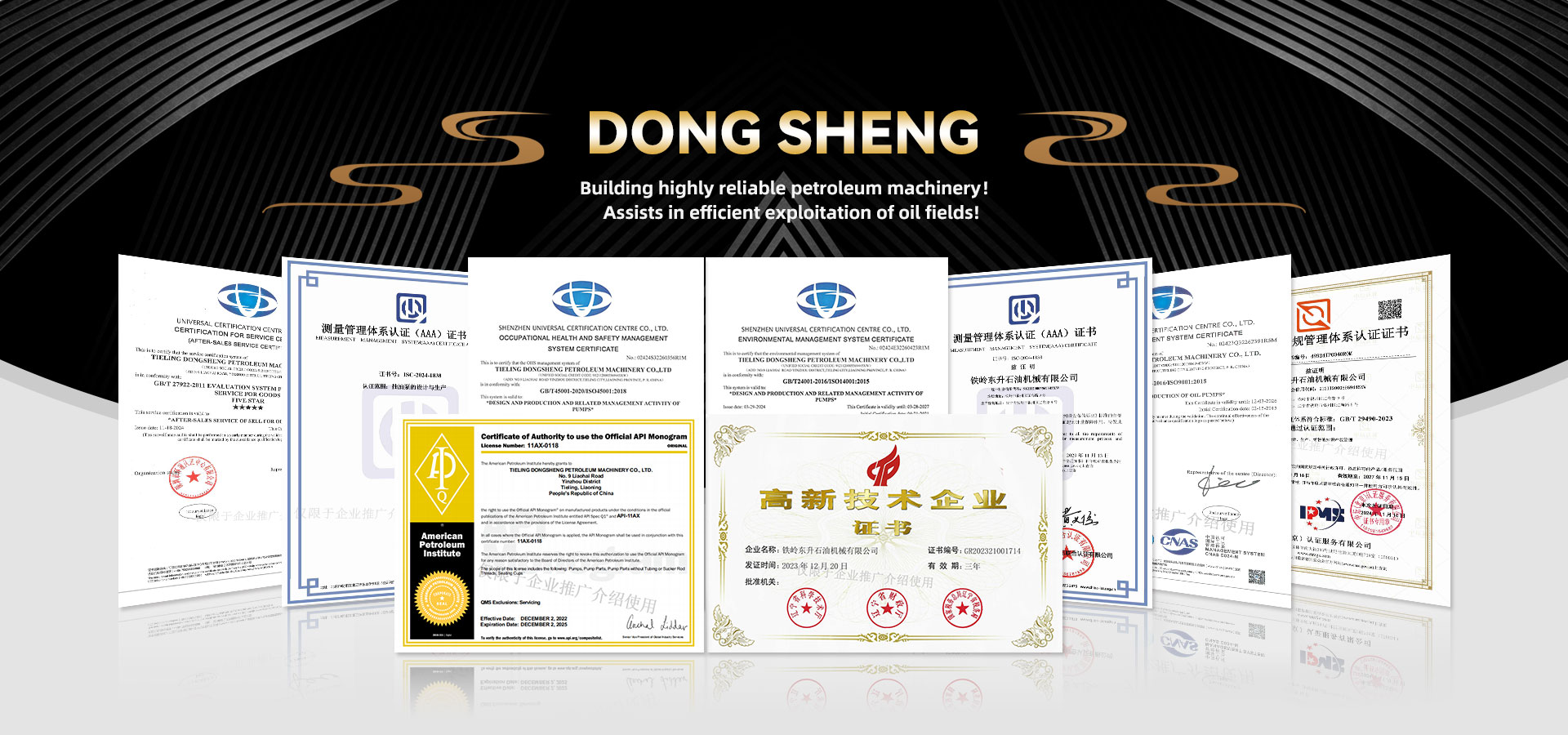 Heavy oil recovery downhole pump