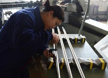 Elastic seal sucker rod pump for horizontal well