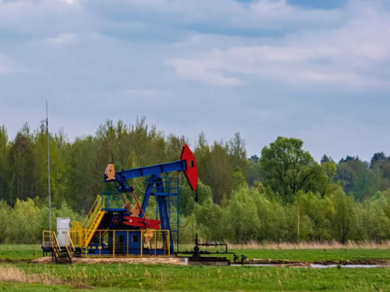 Understanding the Importance of Sucker Rod Pumps Based on Petroleum Characteristics Understanding the Importance of Sucker Rod Pumps Based on Petroleum Characteristics