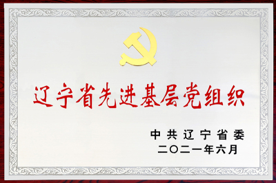 Liaoning Province Advanced Grassroots Party Organization-2021.6