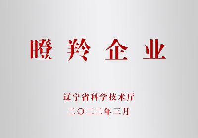 Gazelle enterprise-Liaoning Provincial Department of Science and Technology-2022.3