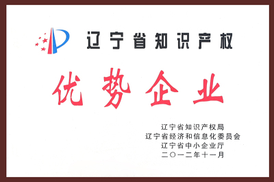 Liaoning Province Intellectual Property Advantage Enterprise-2012.11