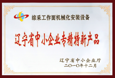 Liaoning Province Small and Medium-sized Enterprises Specialized and New Products-2010.12