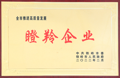 Gazelle Enterprise-2022.2-Tieling Municipal Party Committee