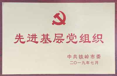 Advanced Grassroots Party Organization-2019.7--Tieling Municipal Party Committee