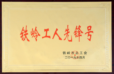 Tieling Worker Pioneer-2019.4