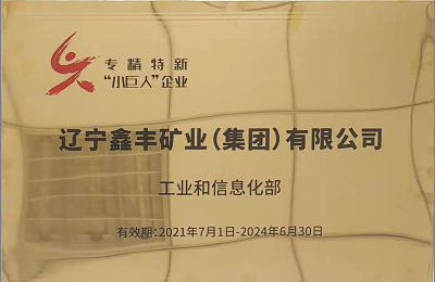 Small Giant Enterprise